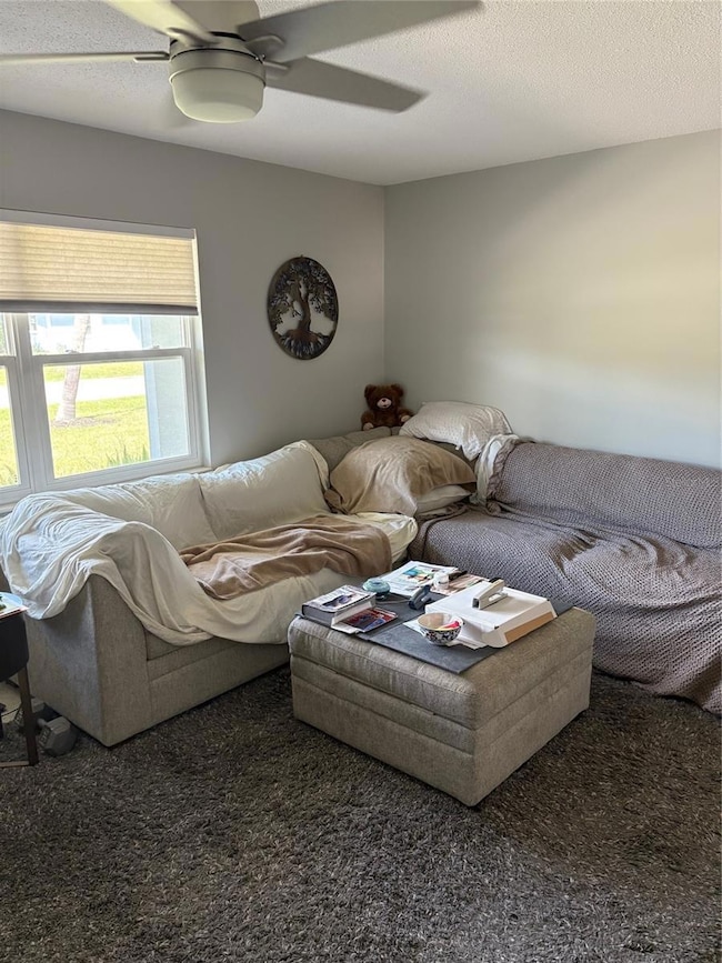 1215 Laurel Ave, Venice, FL 34285 - photo 4