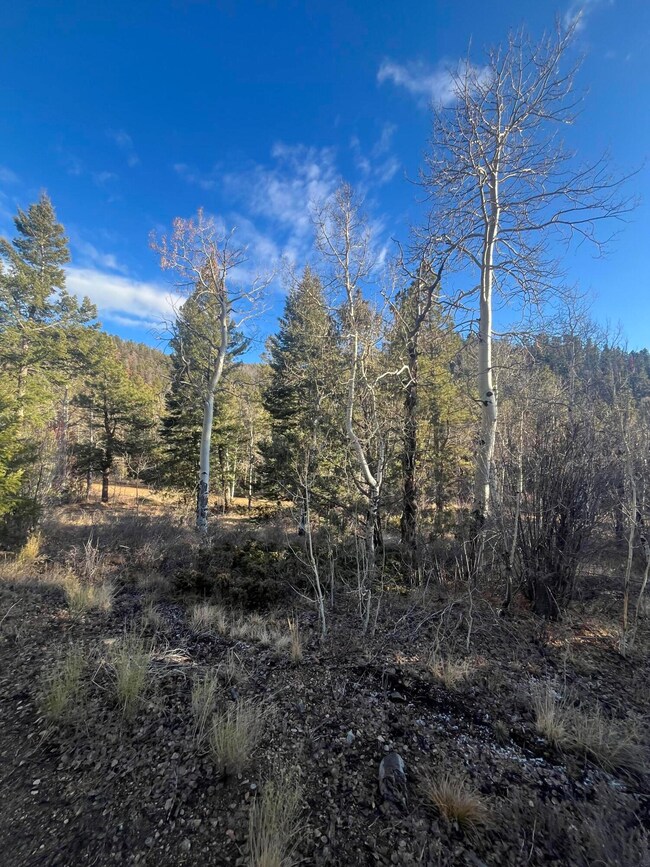 0 Forbes Rd unit 25-1253, Sangre de Cri, CO 81133 - photo 3