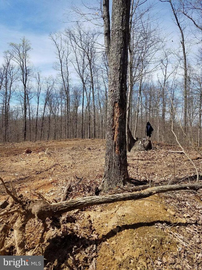 0 John Brown Farm Rd unit 1000308624, Harpers Ferry, WV 25425 - photo 3