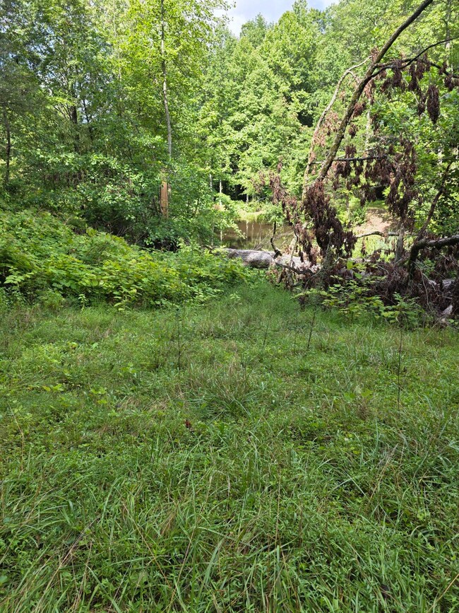 0 Buell Ln, Speedwell, TN 37870 - photo 5
