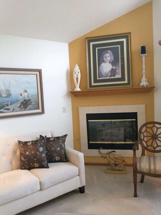 Fireplace View