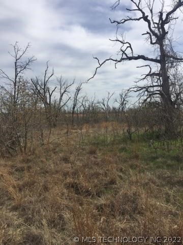 0 S 337th Ave unit 1913699, Bristow, OK 74010 - photo 3