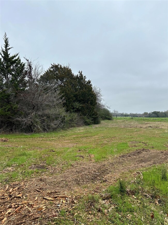 Lot 4-R East Ln, Corsicana, TX 75110 - photo 5