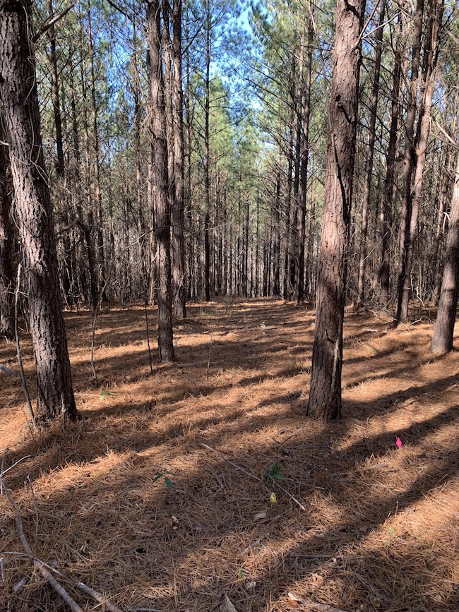 230 Fernwood Dr, Hohenwald, TN 38462 - photo 2