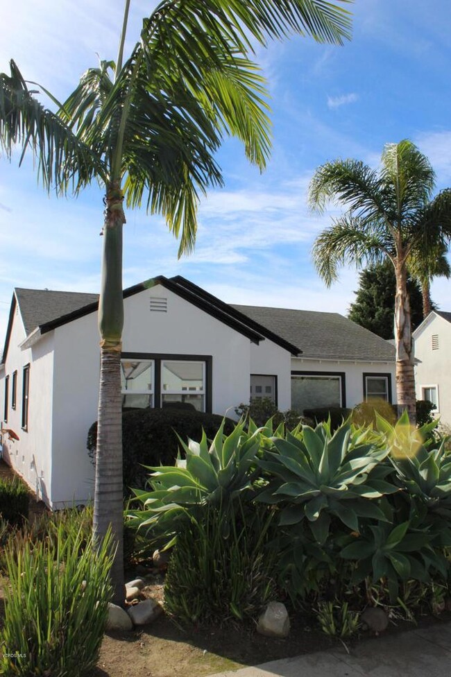 2060 Poli Front View 4