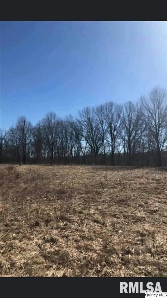 0 Pt Nw (Part of Lot 1) Sec 6 unit CA199119_1, Mt. Sterling, IL 62353 - photo 7