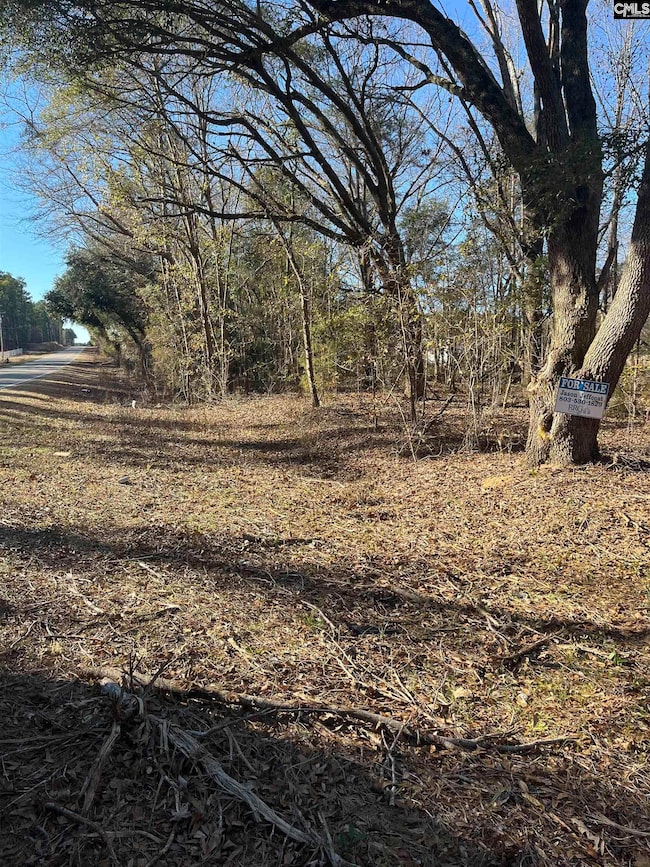 TBD Swansea Rd unit tract a, Swansea, SC 29160 - photo 4