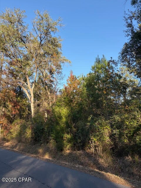 3389 Gainer Rd, Chipley, FL 32428 - photo 7