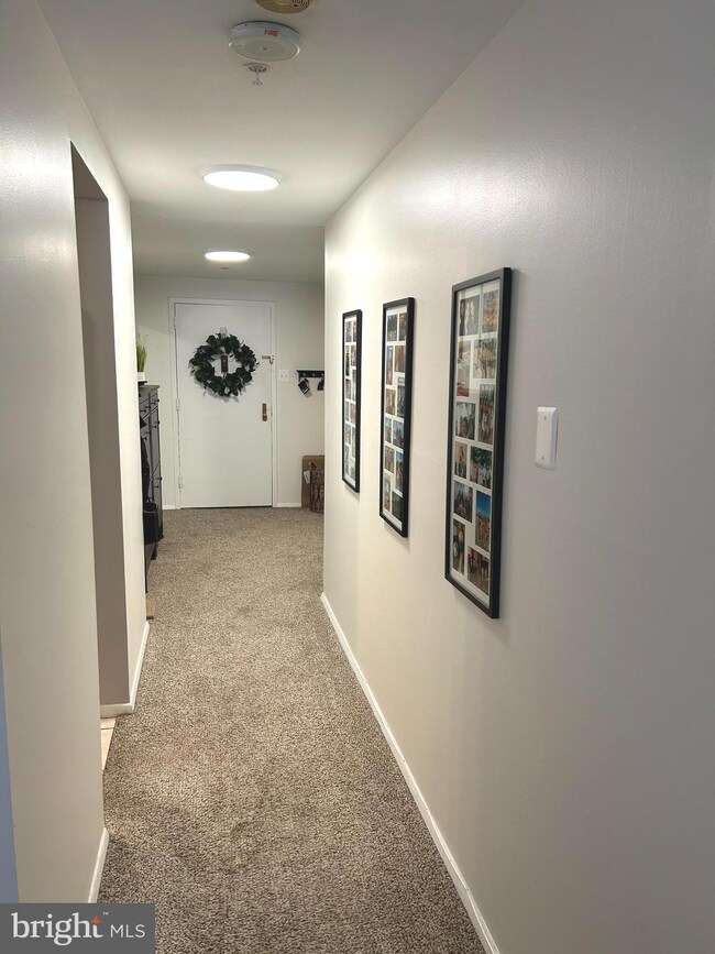 28 Allegheny Ave unit 1112, Towson, MD 21204 - photo 4