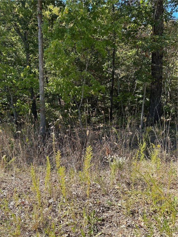 0 Pickering Dr unit 1230504, Bella Vista, AR 72714 - photo 4