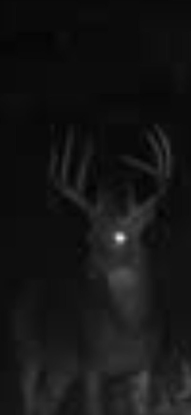 0 Violet Rd, Reger, MO 64630 - photo 3