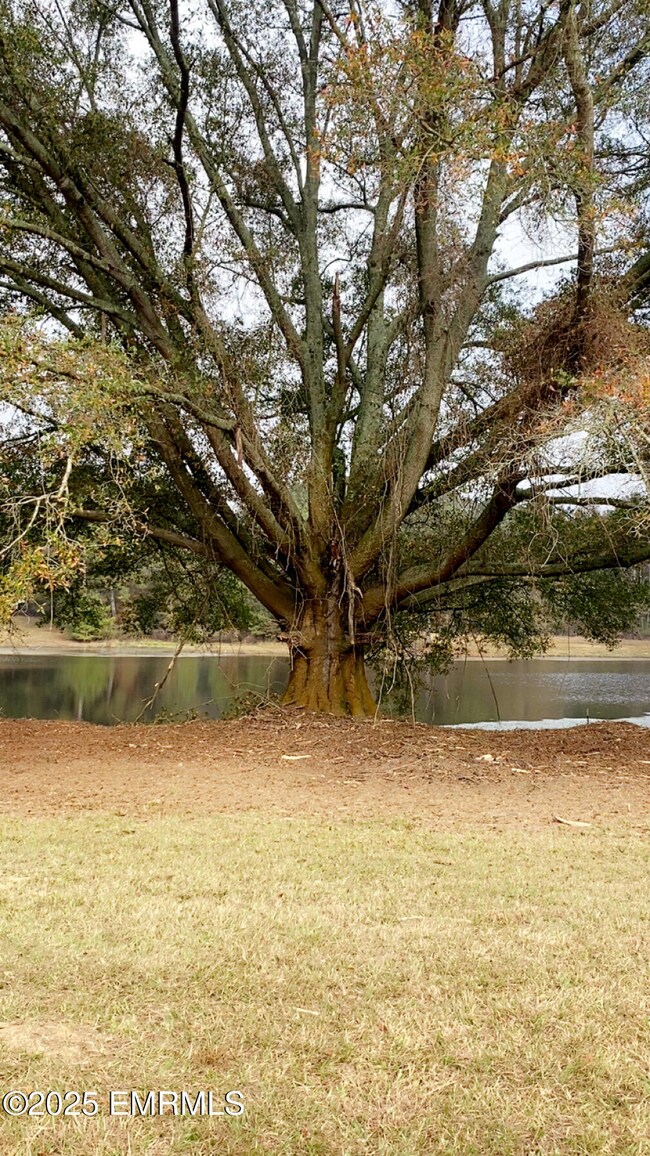 6464 Newton Conehatta Rd, Decatur, MS 39327 - photo 7