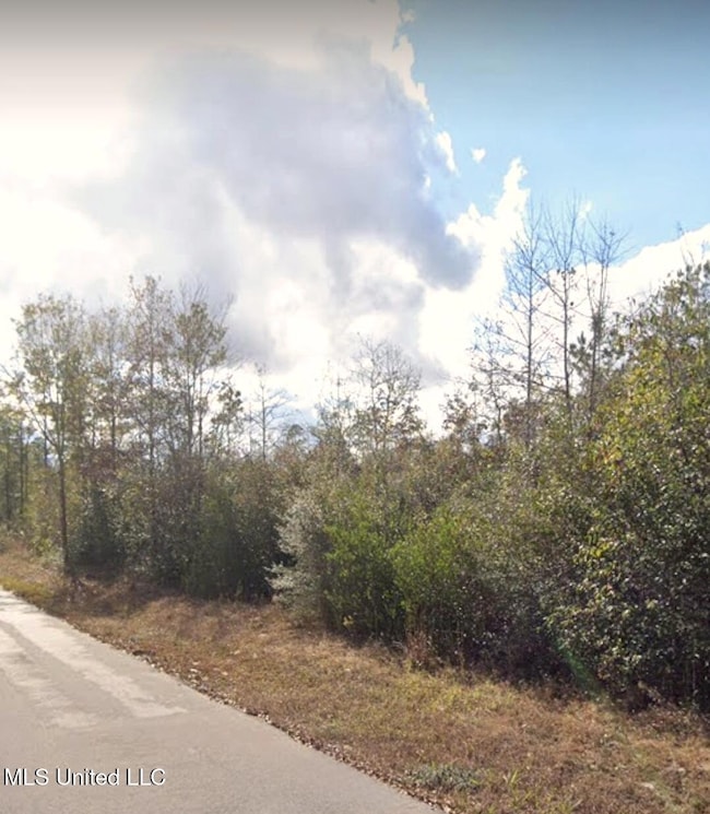 0 Kit Maples Rd, Perkinston, MS 39573 - photo 6