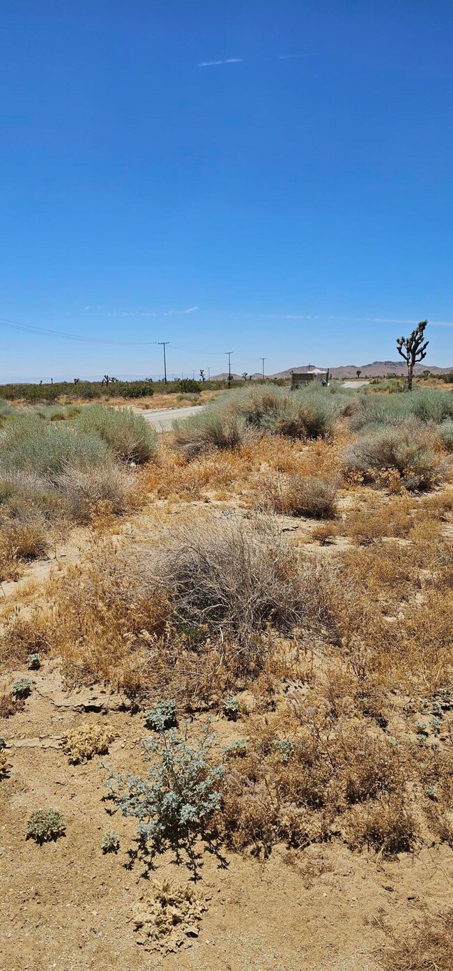 0 E Longhorn unit 22009268, Mojave, CA 93501 - photo 2