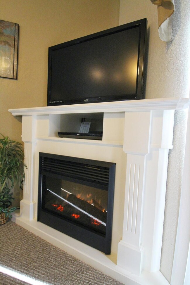 Electric Fireplace