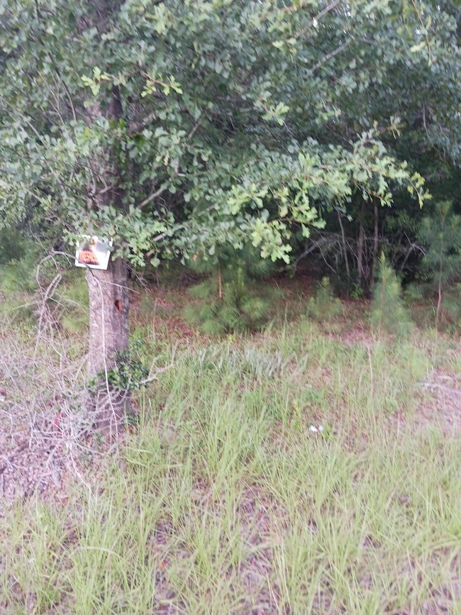 1638 Old Whitesville Rd, Moncks Corner, SC 29461 - photo 2