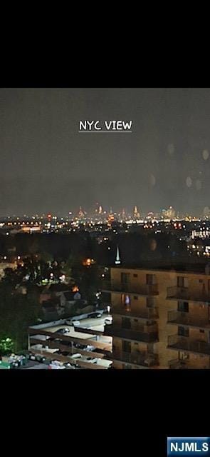 nyc view