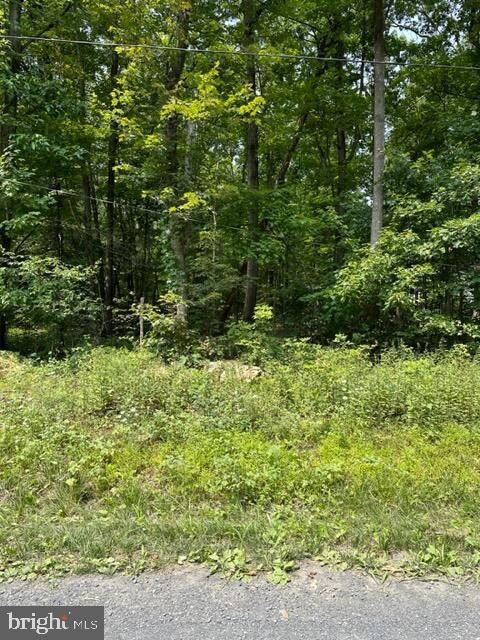 0 0 unit VAFV2014428, Winchester, VA 22602 - photo 2