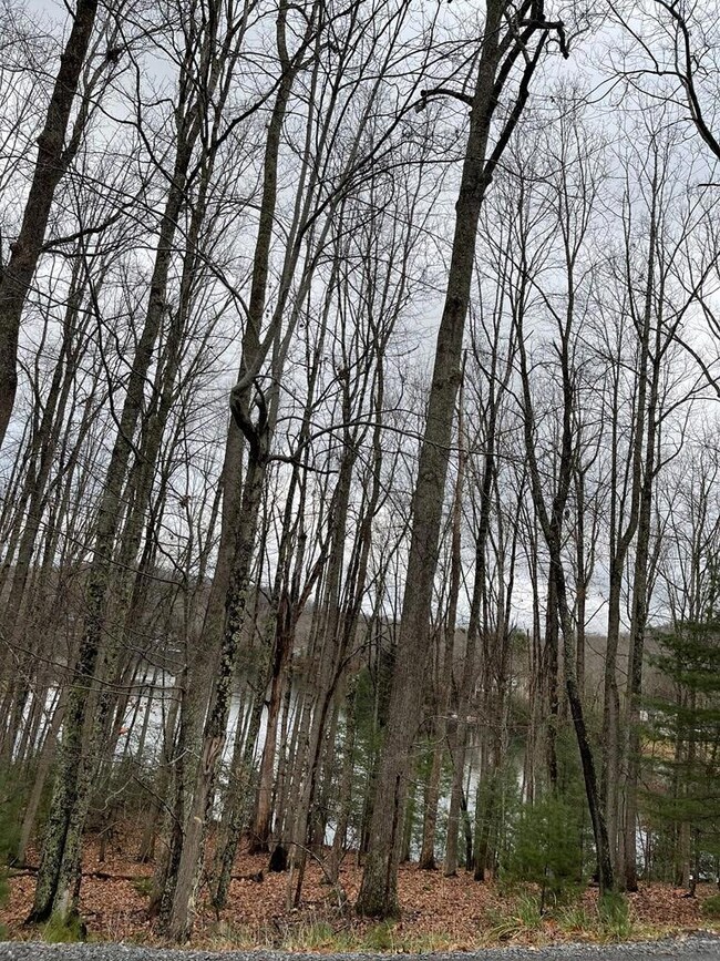 View of Chatham Lake