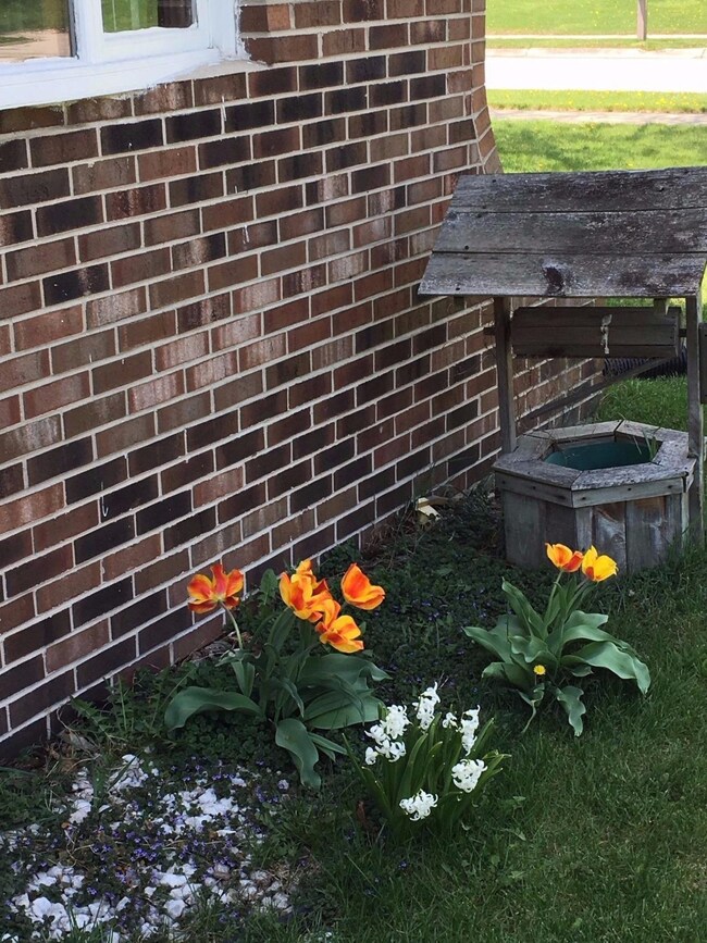 13104 Wheeler Ct, Cedar Lake, IN 46303 - photo 3