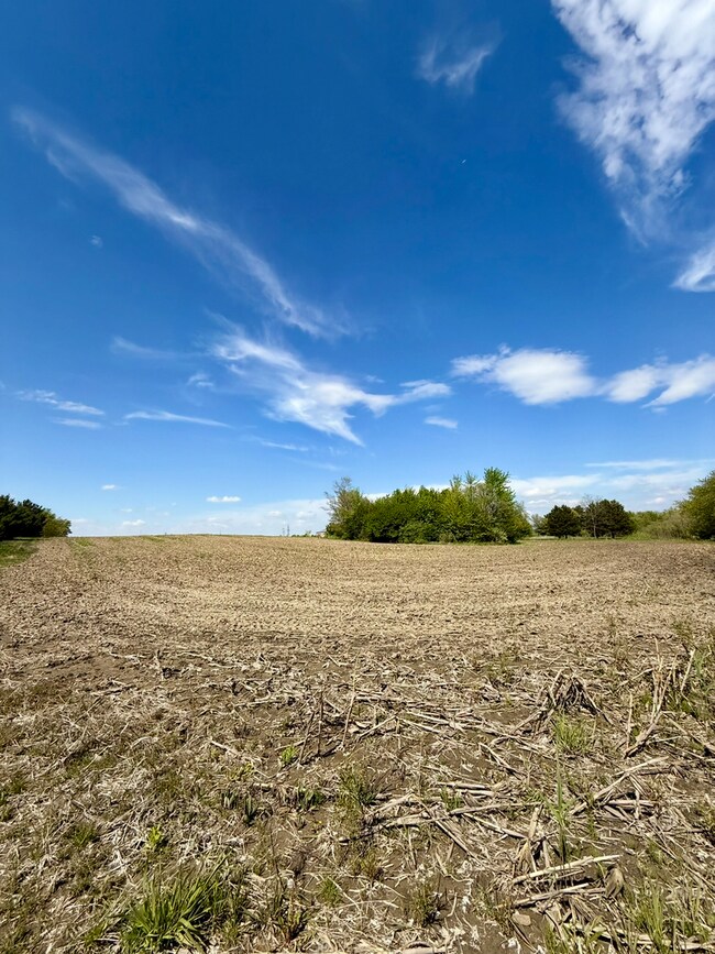 6835 W Stuenkel Rd, Monee, IL 60449 - photo 7