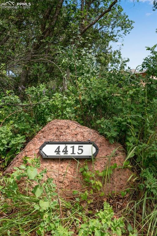 Front of lot with rose bushes