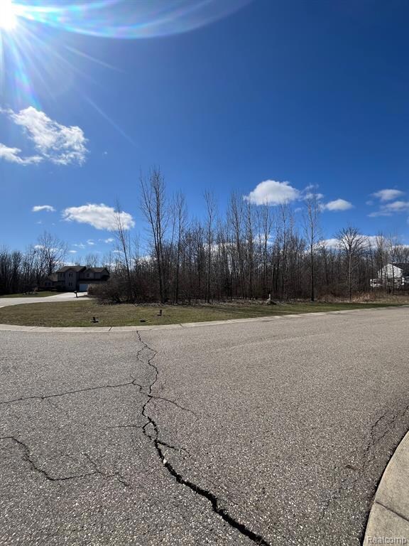VL Lot 58 High Oaks Trail, Grand Blanc Township, MI 48439 - photo 3