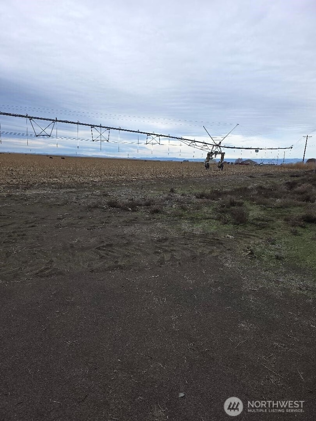 4969 NW E Rd, Ephrata, WA 98823 - photo 4