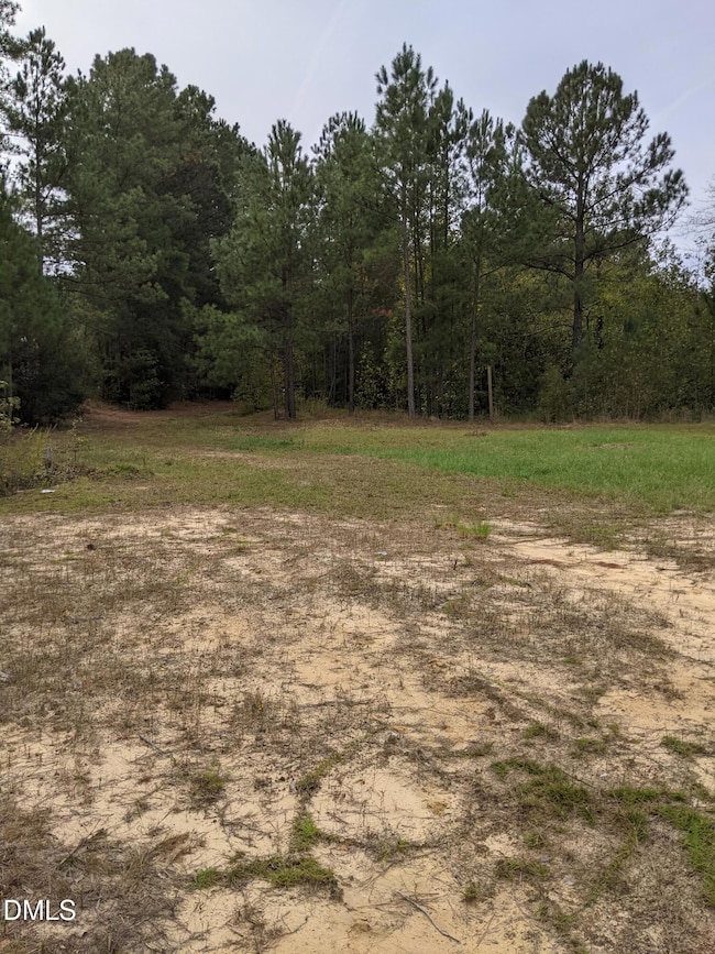 0 E Governor Brandon St, Anderson Creek, NC 28390 - photo 2