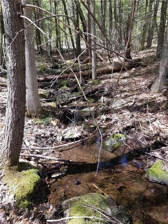 0 Harris Rd, Minot, ME 04258 - photo 3