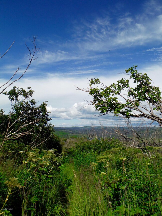 64965 Knob Hill Rd, Anchor Point, AK 99556 - photo 7