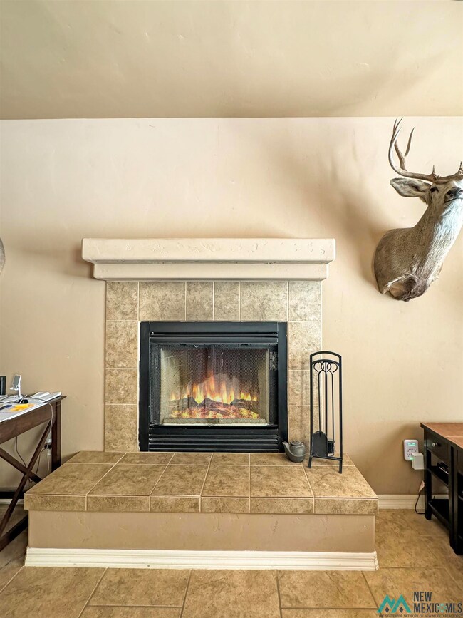 4005 Jesse James Ct, Carlsbad, NM 88220 - photo 7