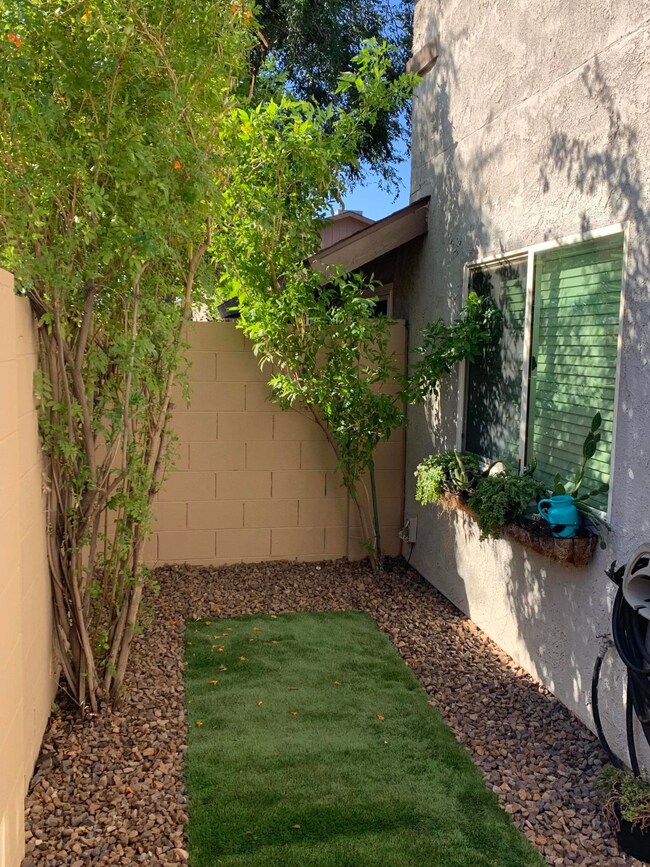 Private Courtyard