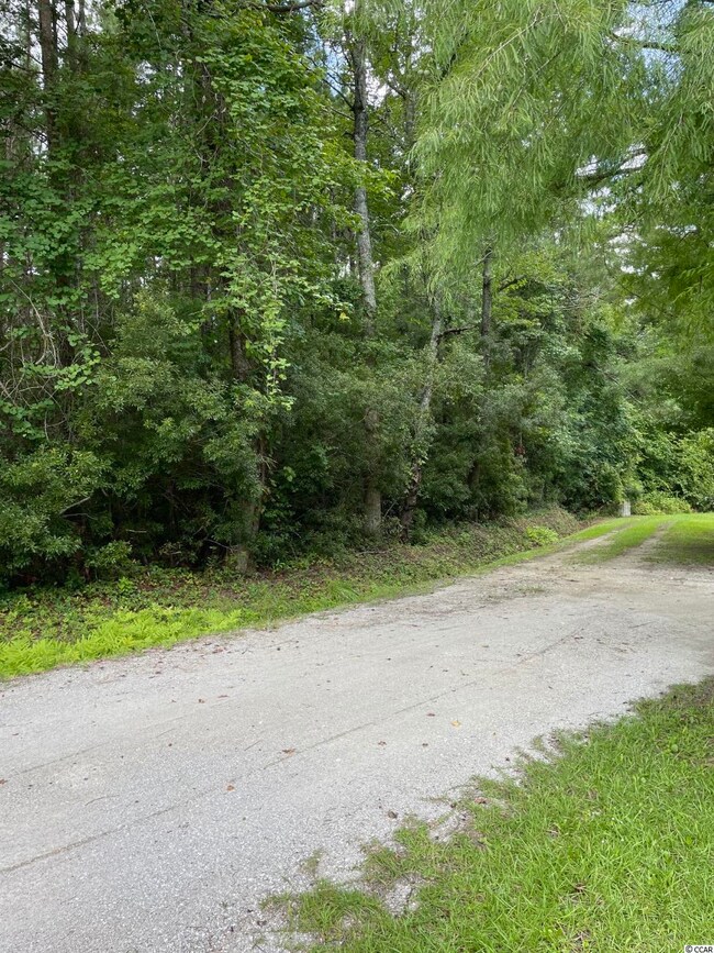 TBD Piney Grove Rd, Loris, SC 29569 - photo 2