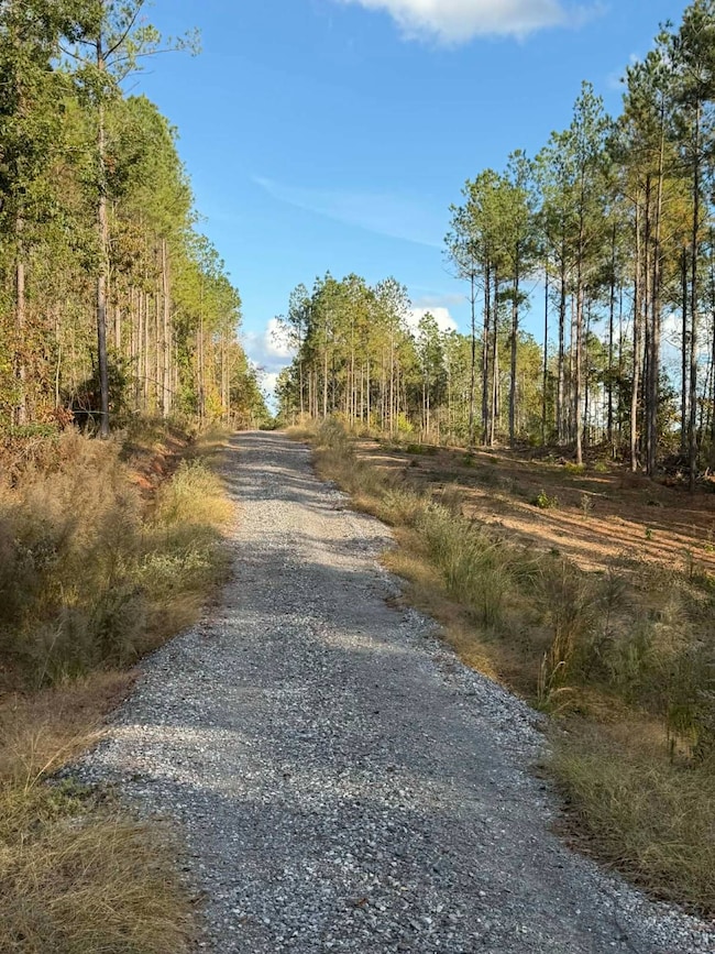 108 Meadowview St, Jena, LA 71342 - photo 2