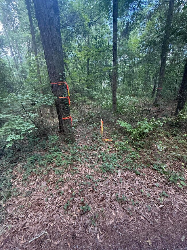 33 Middleton Oaks Rd, Charleston, SC 29414 - photo 7