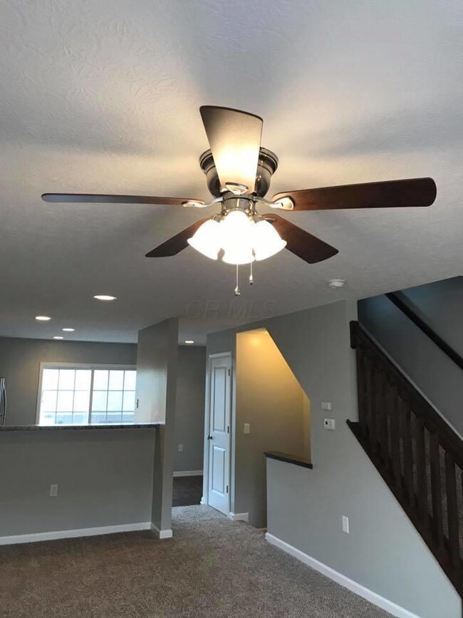 6578 Crab Apple Dr, Canal Winchester, OH 43110 - photo 4