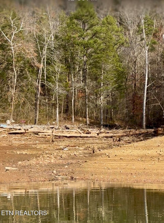 0 Bridle Way unit 1323079, Speedwell, TN 37870 - photo 5