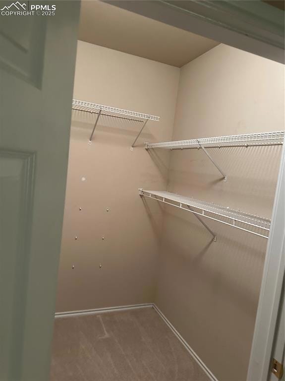 Walk in closet featuring carpet