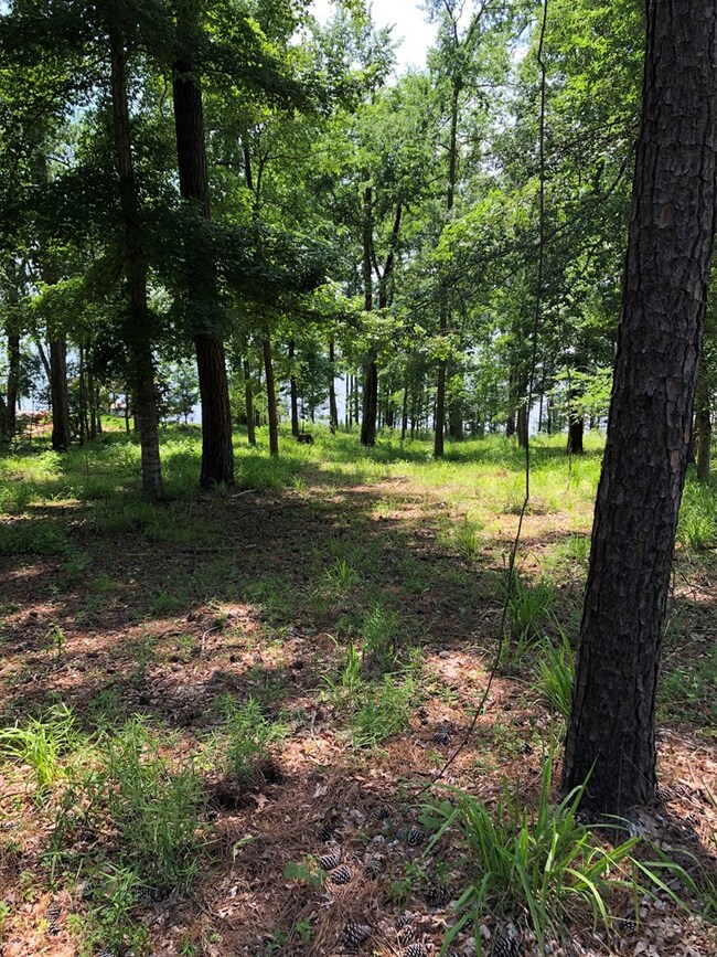 1281 County Road 755, Nacogdoches, TX 75964 - photo 2