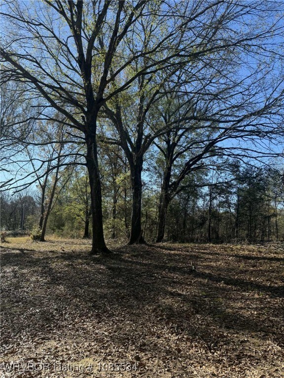 Tract 1 2nd St, Fort Coffee, OK 74959 - photo 2