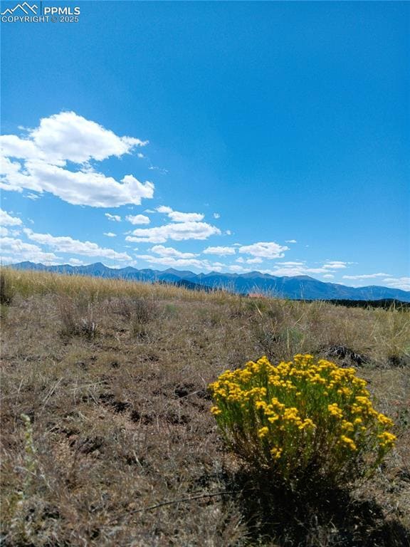 567 Trails End Ct, Cotopaxi, CO 81223 - photo 3