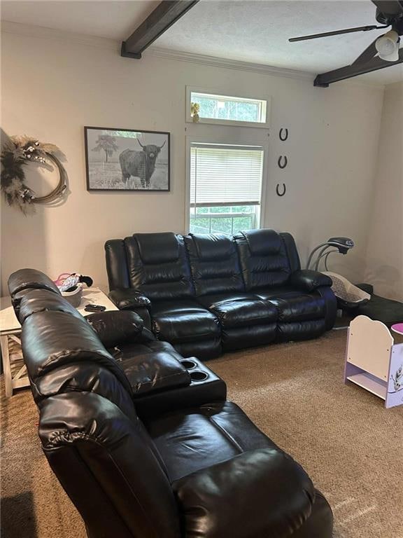 Living room with carpet, crown molding, beam ceiling, a textured ceiling, and ceiling fan