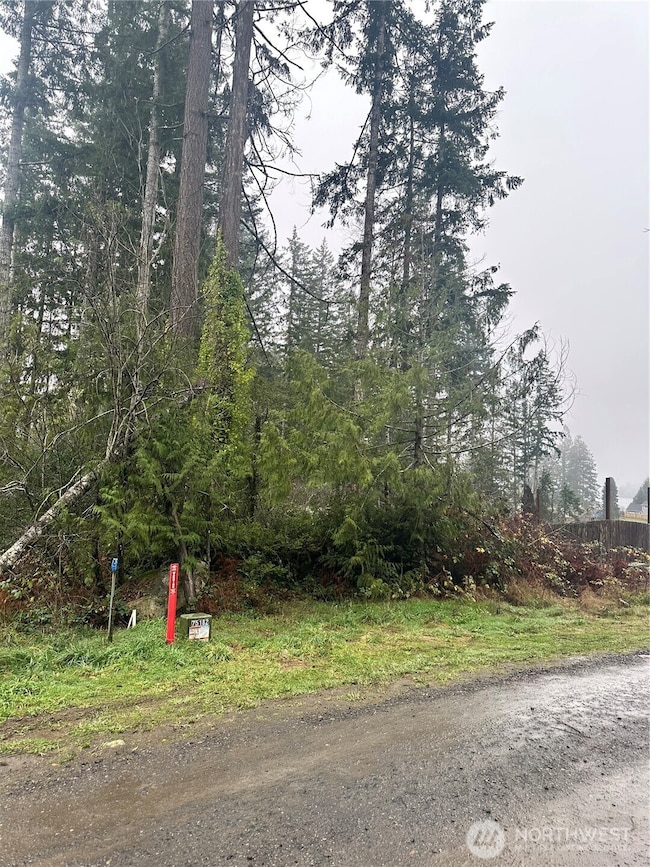 0 xxx E Wheelwright St S, Allyn, WA 98524 - photo 6