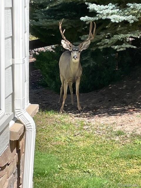 24562 E Easter Place, Aurora, CO 80016 - photo 4