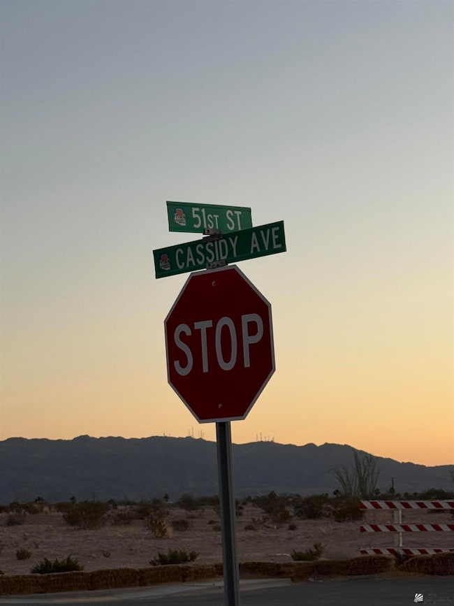 12689 E 51st St, Yuma, AZ 85367 - photo 3