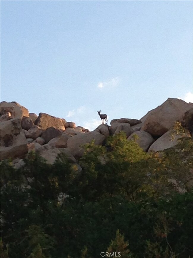 7036 Sierra Ave, Joshua Tree, CA 92252 - photo 5