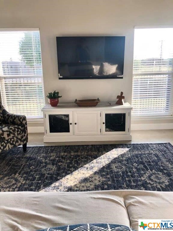 1342 Hanz Dr, New Braunfels, TX 78130 - photo 4