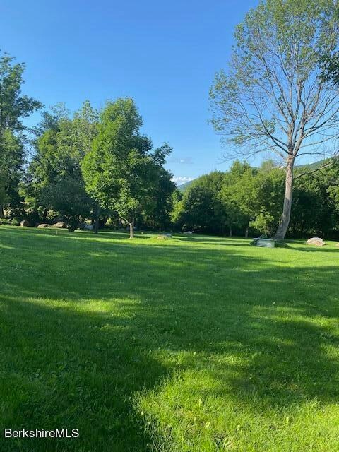 Pasture with some Trees