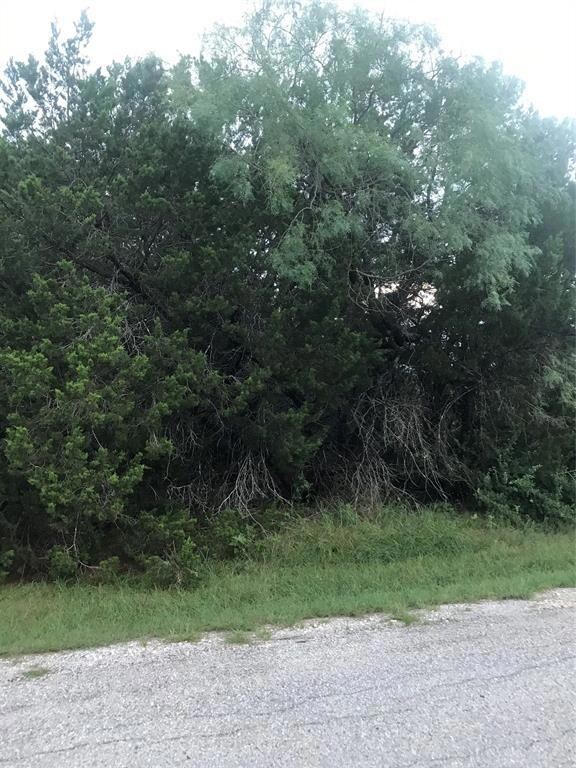 18170 Wildwood Dr, Whitney, TX 76692 - photo 5